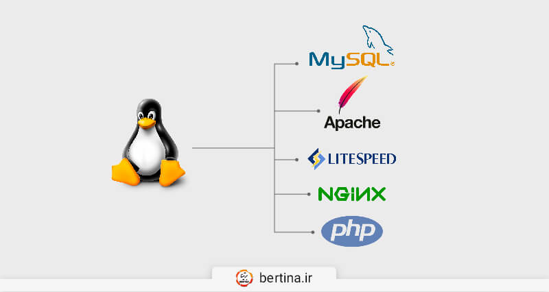 Differences Between Linux and Windows Hosting